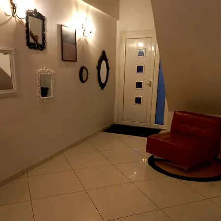 Garnier House 别墅