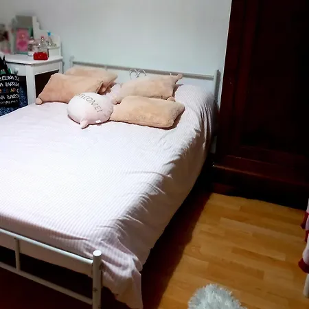 Garnier House 别墅 米萨讷