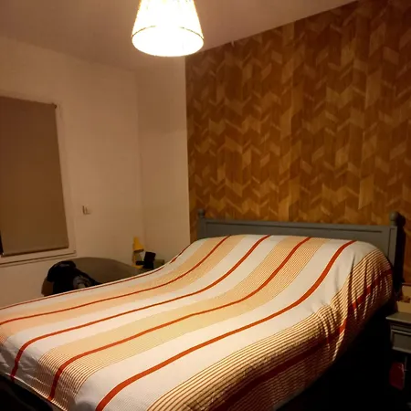 Garnier House 别墅 *